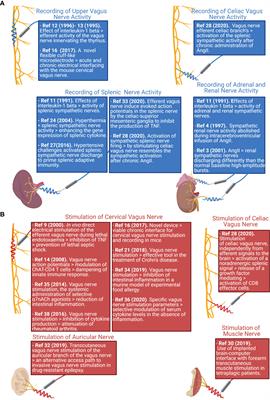 A Focused Review of Neural Recording and Stimulation Techniques With Immune-Modulatory Targets